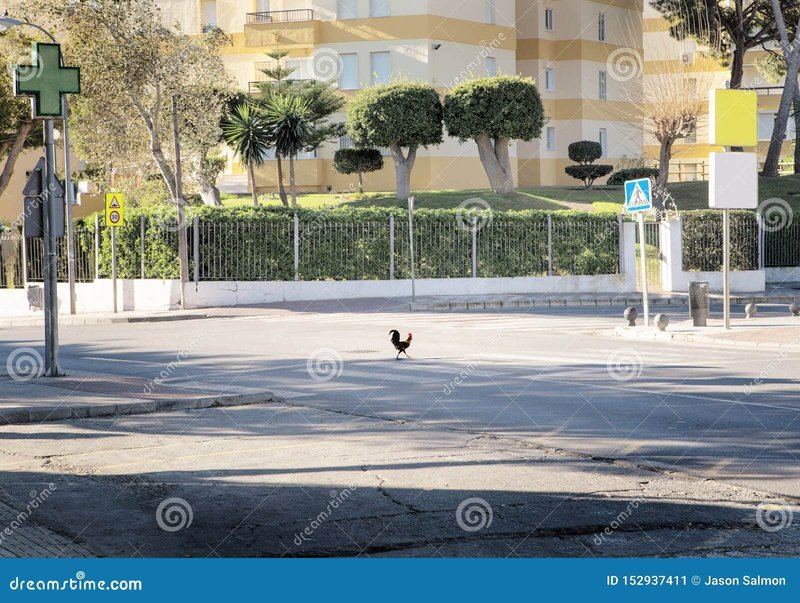 Conoce todos los detalles sobre el juego de azar Chicken Road en España - overview