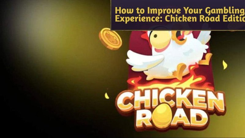 Chicken road in Netherlands Chicken road in Netherlands